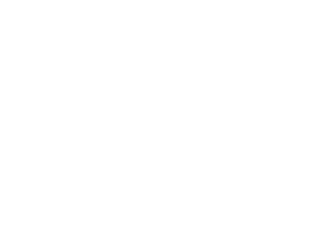 Birthday Bash Pavillon Events